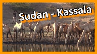 Sudan  Kassala [upl. by Yeargain665]