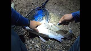 FISHING THE TEXAS CITY DIKE Late Night [upl. by Pelage]