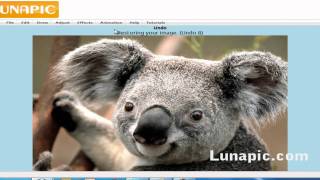 new lunapiccom video tutorial [upl. by Irim315]