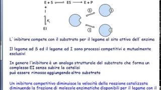 Video Lezione Proteine RegolazioneEnzimaticaInibizione [upl. by Cummins864]