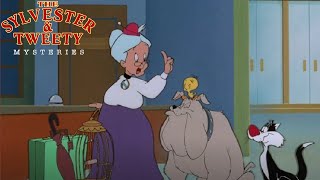 The Sylvester amp Tweety Mysteries S01E03 Double Take  Review [upl. by Ayahc617]