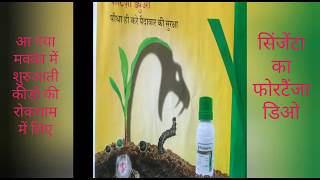 adSyngenta  fortenza duo maize seed treatment विज्ञापन सिंजेंटा  फोरटैंजा डुओ fall armyworm [upl. by Efrem483]