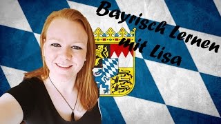 SCHIMPFWORTE AUF BAYRISCH LERNEN🍺 2017 [upl. by Ahsietal953]