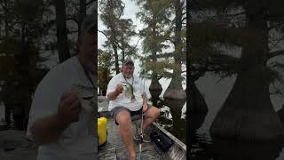 More of that Reelfoot Lake Cypress Tree Fishing crappielake lakelife crappie [upl. by Analahs887]