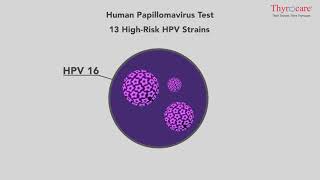 Human Papillomavirus Test – Test amp Technology Hindi [upl. by Marigold97]