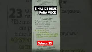 SINAL DE DEUS PARA VOCÊ [upl. by Nedarb]