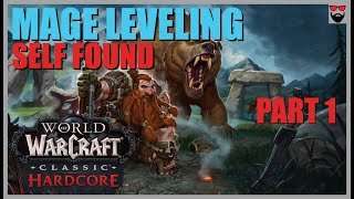 World of Warcraft Classic HARDCORE SF  Mage  Defias Pillager US  The Most Vanilla Stream on YT [upl. by Aliled]