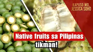 Native fruits sa Pilipinas tikman  Kapuso Mo Jessica Soho [upl. by Leggat]