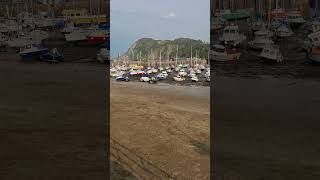 Ilfracombe HarbourFriday 20th September 2024 [upl. by Okoy]