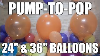 PumptoPOP 24quot amp 36quot Orange Balloons [upl. by Bertina]