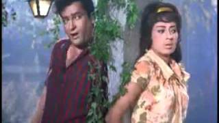 Janam Janam  Shammi Kapoor amp Babita  Tumse Achcha Kaun Haiflv [upl. by Eellek417]