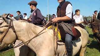 Cabalgando a quotLa Fiesta del Talar  2024quot desde la rotonda de Madariaga [upl. by Irual]