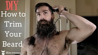 The Beard Struggle  Trim Your Beard Like A Viking  DIY   Daniel Zigler [upl. by Ellehcal758]