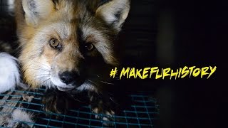 Exposing the Fur Industry [upl. by Gurias]