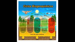 Funciones de los microorganismos del suelo [upl. by Daune]