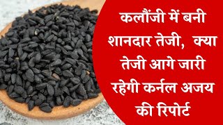 कलौंजी में बनी शानदार तेजी क्या तेजी आगे जारी रहेगी कर्नल अजय की रिपोर्ट Nigella Report [upl. by Griffie713]