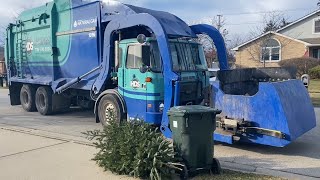 Homewood Disposal Garbage Trucks eating Christmas trees [upl. by Alahs714]