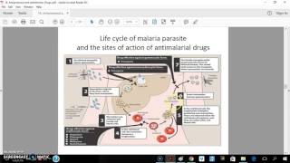 antiprotozoal and antihelmintic drug part 2 [upl. by Post]