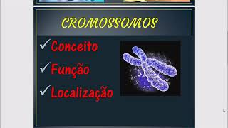 Cromossomos  O que é Cromossomos [upl. by Nacul]