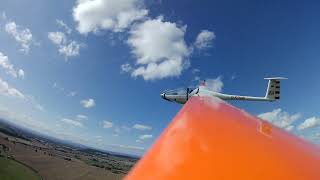 Forton Flyflyy DG808s 4M rc glider [upl. by Erick]