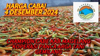 Info harga cabai tanggal 4122024 dari KOPERASI PANCA ARGA TANI GEMILANGSariftanichannel6685 [upl. by Aicnelav]