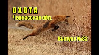 Охота  Черкасская область  Выпуск №82 UKR [upl. by Killam186]