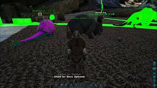 Our Phiomia is a Poo Shooter in Ark Survival Evolved [upl. by Akiam]