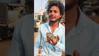 मेंढकको 🐸 Market घूमाने जाना  frog funn NasimAlamK0 [upl. by Margreta204]