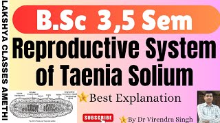 Reproductive System of Taenia Solium  For BSc 5 Sem and other competitive examination etc [upl. by Atazroglam]