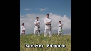 Taekwondo vs Karate Which one is stronger taekwondo karate martialarts taekwondovskarate [upl. by Hevak]