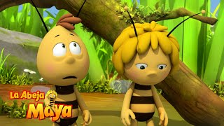 Maya Al Rescate 🚑🐝  Capítulos completos  La Abeja Maya [upl. by Crim976]