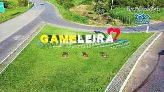 Conheça a cidade histórica da Gameleira  PE [upl. by Particia503]