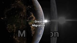 Great Migration  🌍 shorts facts earth planet learning [upl. by Retrac]