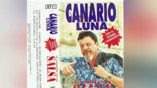 7 EL CANARIO EN SU SALSA CON EL COMBO CAMAGUEY pablo pueblo [upl. by Jopa]