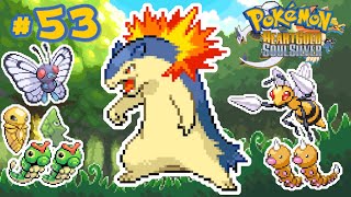 53 Aquecendo a Floresta Typhlosion a caminho de Viridiana no Pokémon HeartGold amp SoulSilver [upl. by Raman]