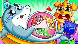 Pregnant Mommy Shark  Fun Baby Shark Nursery Rhymes and Childrens Songs  Zozobee Kids Songs [upl. by Edmead]