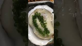 Enjoy eating good oysters food [upl. by Coffin883]