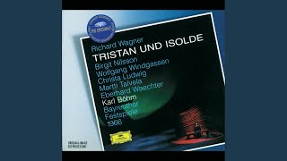 Wagner Tristan und Isolde WWV 90  Act III  quotHei nun Wie du kamstquot [upl. by Abott264]