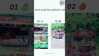 🤟M≋R≋ b≋u≋s≋𝖕𝖎𝖘𝖘𝖆🤟 sོiོtོhོiོ😜1vs2 කට්ටිය කියන් යන් බලන්න [upl. by Hafeetal]