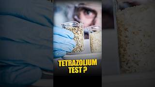 Tetrazolium Test [upl. by Fishman]