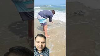 beach sandbass fishing bait crab baitandtackle ocean YouTube trending video [upl. by Elnore]