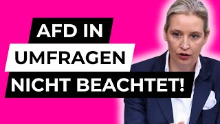 Düstere Prognose AfD wird in Umfragen nicht berücksichtigt [upl. by Aynosal]