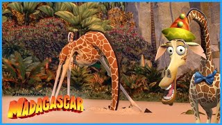 Melmans Best Bits 🦒  DreamWorks Madagascar [upl. by Koo742]