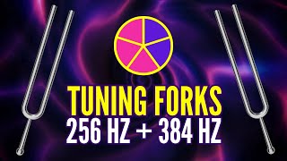 Balancing Your Whole Body with the Perfect Fifth 256 Hz  384 Hz Tuning Forks [upl. by Schulein]