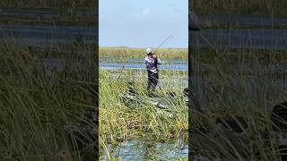 Flipping Bass MLF Lake Okeechobee shorts bassfishing MLF [upl. by Octavius]