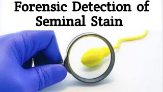 Forensic Detection of Seminal StainsDifferent methods of Semen Detection [upl. by Nera841]