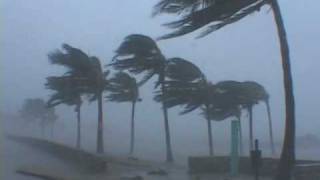 Hurricane Wilma Video  Miami Beach Florida [upl. by Orlina]