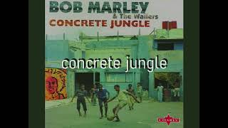 Concrete Jungle KARAOKE by BOB MARLEY and the WAILERS  lucien depuydt karaoke [upl. by Mainis]