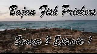 Bajan Fish Prickers Season 2 Episode 1 [upl. by Peltier]