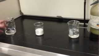 Demo 4 Dehydration of Sucrose with Sulfuric Acid [upl. by Eissert]